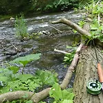 Waldfrieden Thale