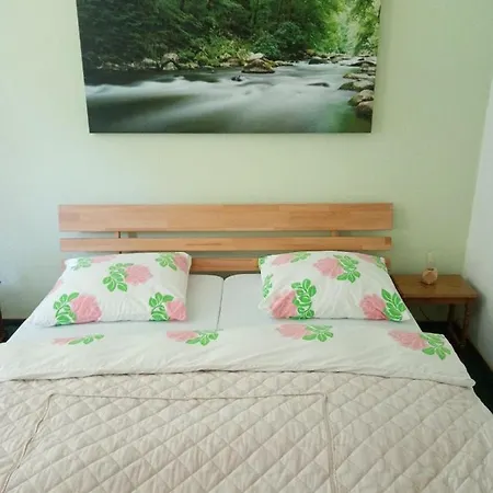 Waldfrieden Apartment Thale