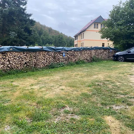 Waldfrieden Appartement Thale