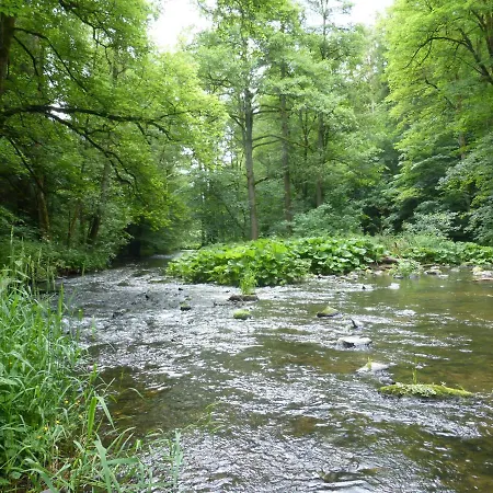 Waldfrieden Lägenhet