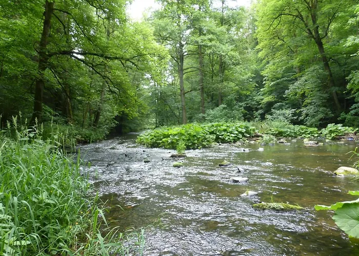 Waldfrieden Apartman